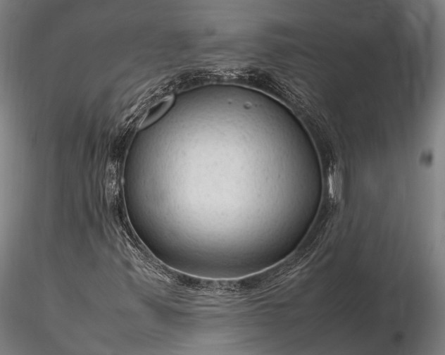 X0000116311347200912141349