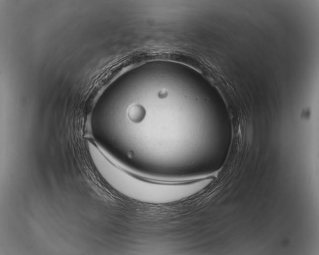 X0000116311348200912141349