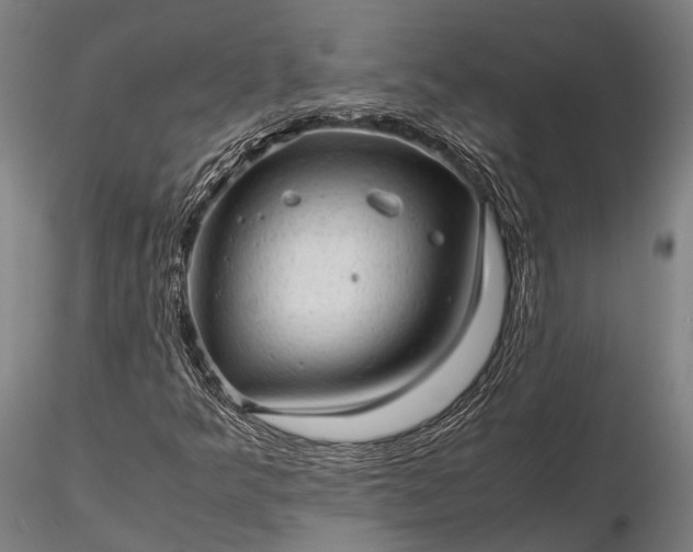 X0000116311349200912141349