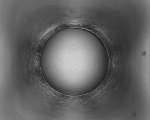 X0000116311350200912141349