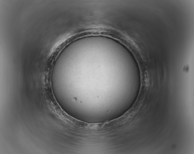 X0000116311352200912141349