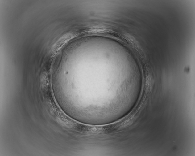 X0000116311353200912141349