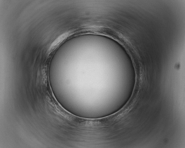 X0000116311354200912141349