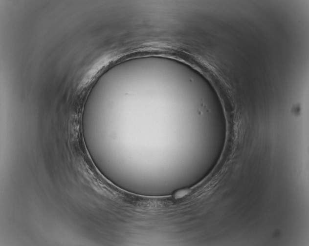 X0000116311355200912141349