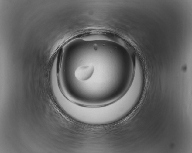 X0000116311357200912141349