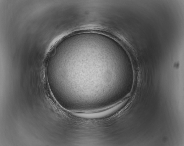 X0000116311358200912141349