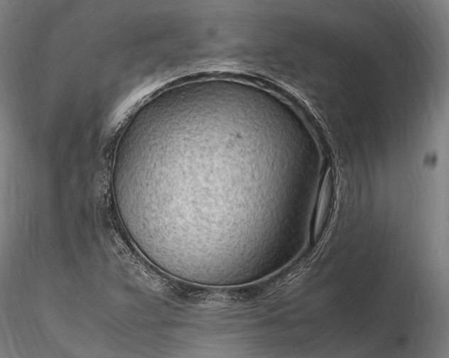 X0000116311359200912141349