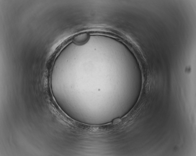 X0000116311360200912141349