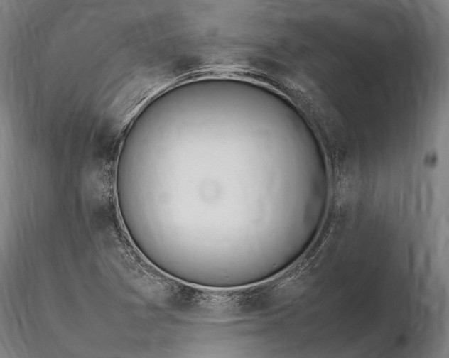 X0000116311361200912141349