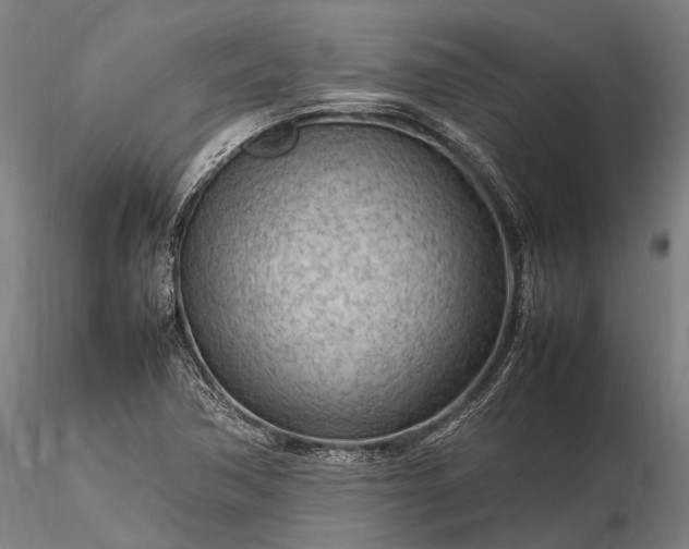 X0000116311362200912141349