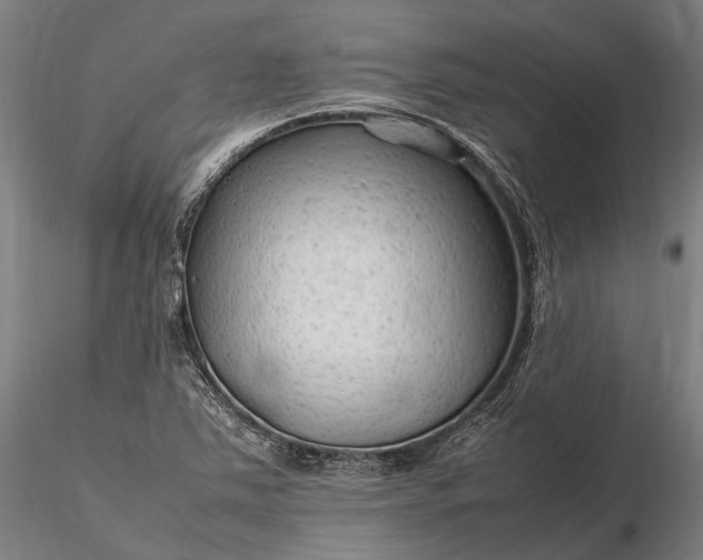 X0000116311363200912141349