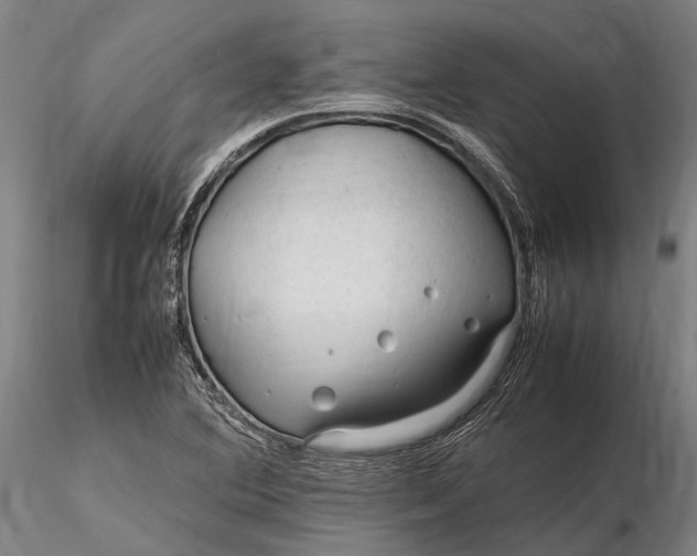 X0000116311364200912141349