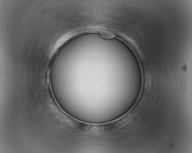 X0000116311365200912141349