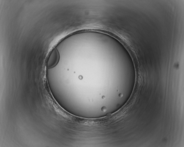 X0000116311366200912141349