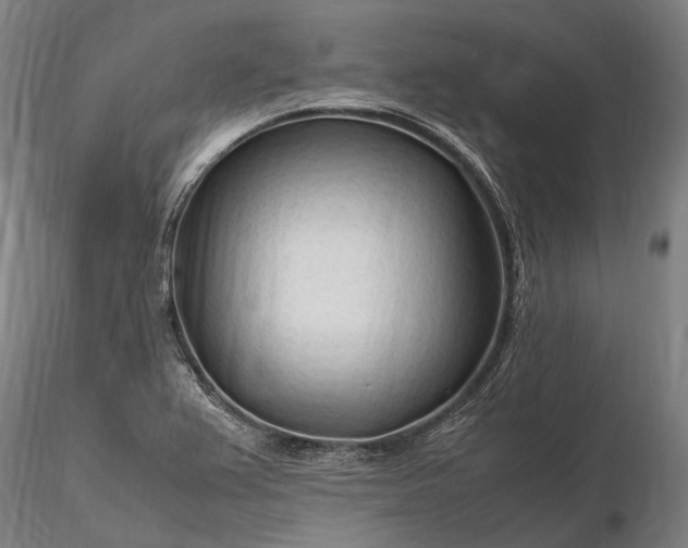 X0000116311367200912141349