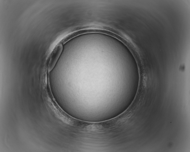 X0000116311368200912141349