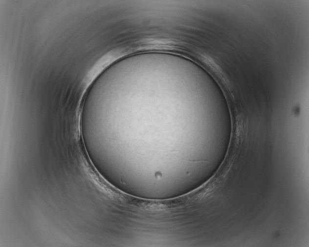 X0000116311370200912141349