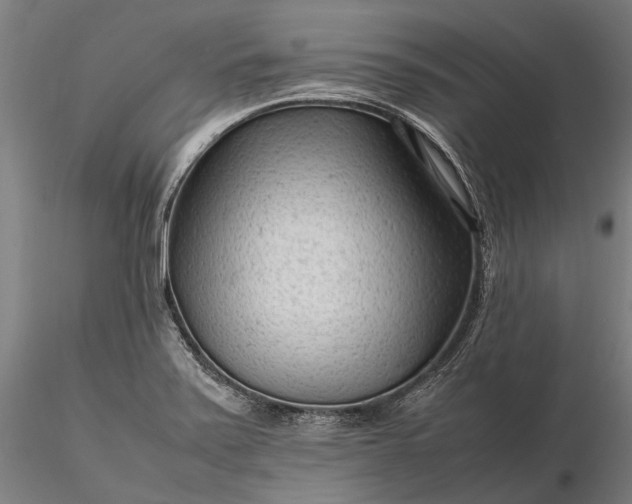 X0000116311371200912141349