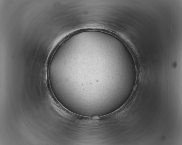 X0000116311372200912141349