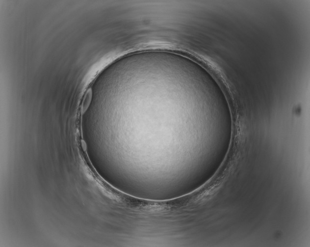 X0000116311373200912141349