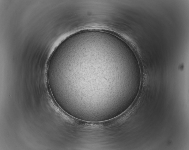 X0000116311374200912141349