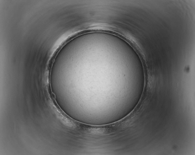 X0000116311376200912141348