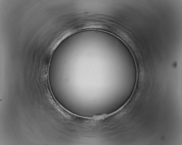 X0000116311377200912141348