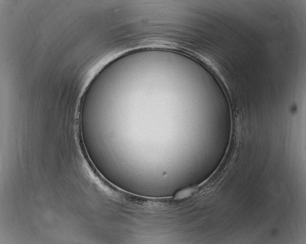 X0000116311379200912141348