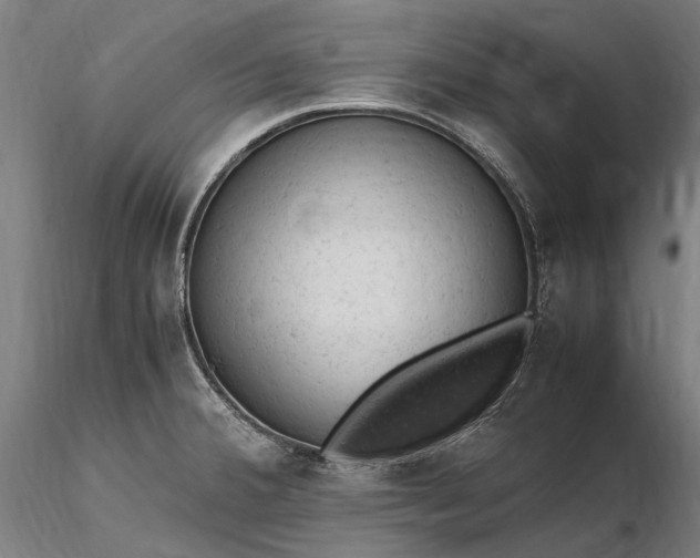 X0000116311380200912141348