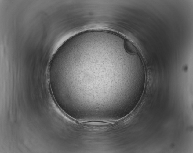 X0000116311382200912141348