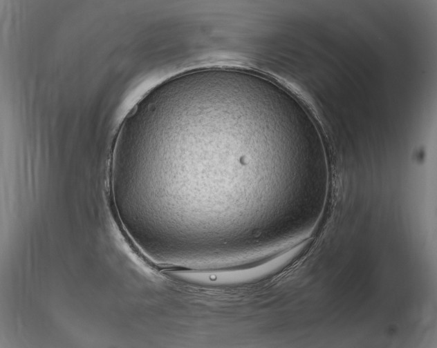 X0000116311383200912141348