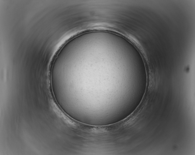 X0000116311384200912141348