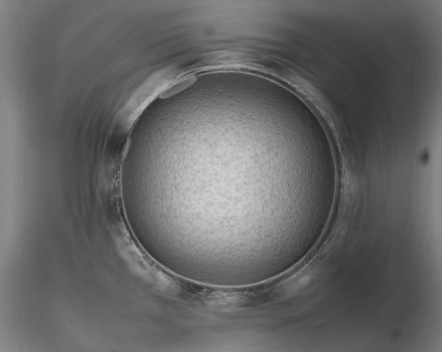 X0000116311385200912141348