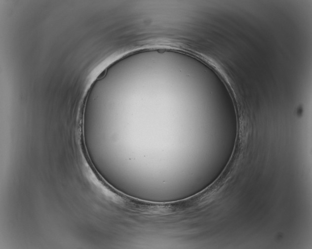 X0000116311387200912141348