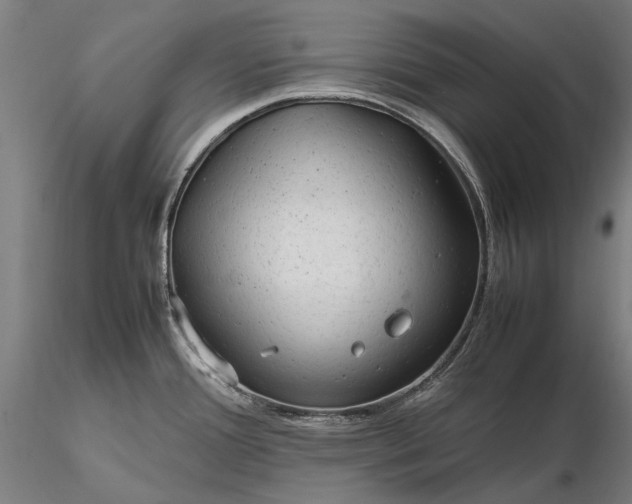 X0000116311388200912141348