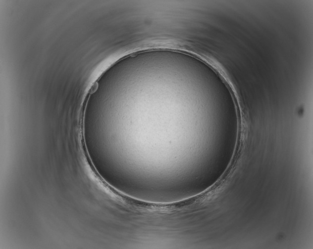 X0000116311389200912141348