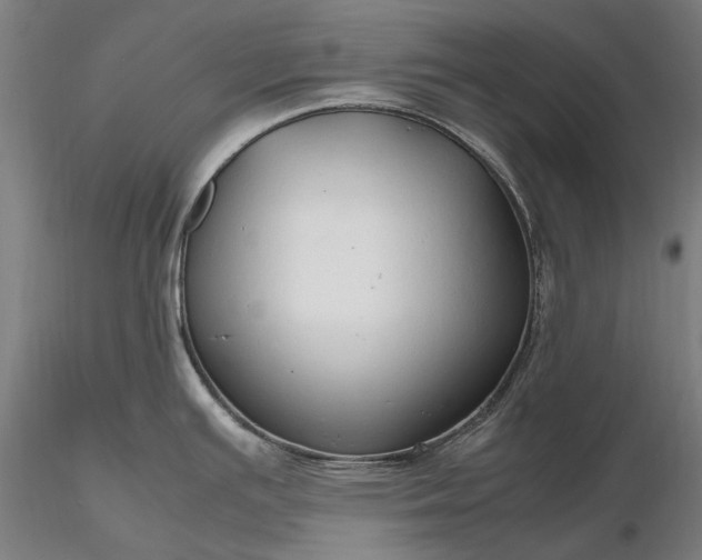 X0000116311391200912141348