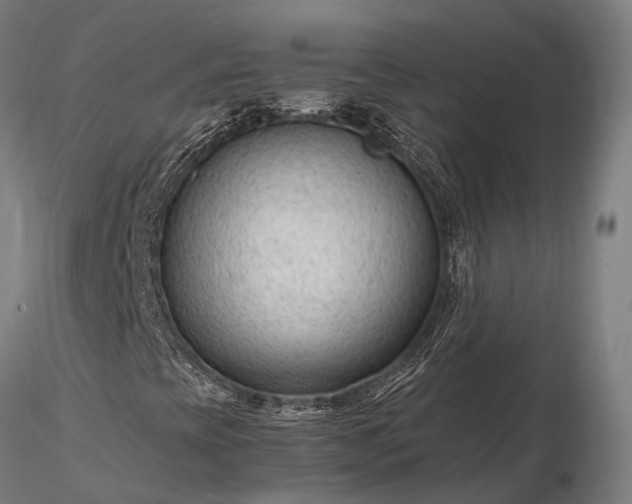 X0000116311393200912141347