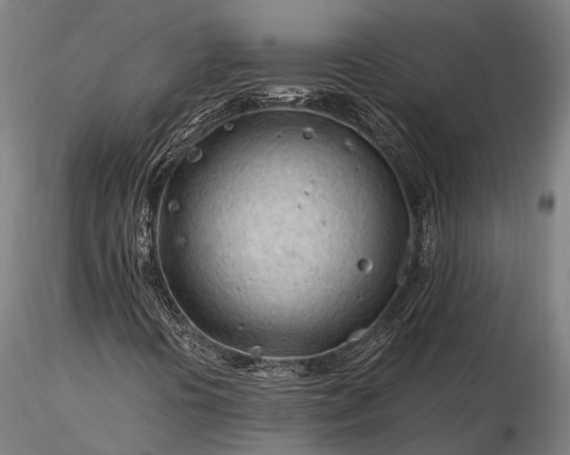 X0000116311394200912141347