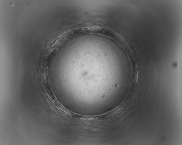 X0000116311397200912141347