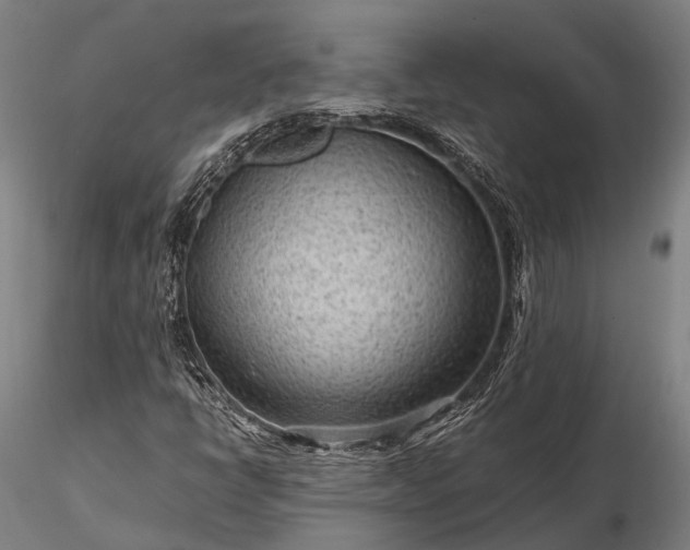 X0000116311398200912141347