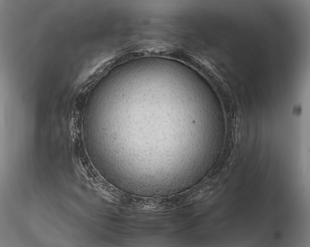 X0000116311399200912141348