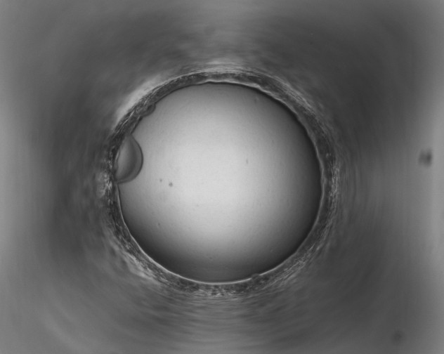 X0000116311400200912141348