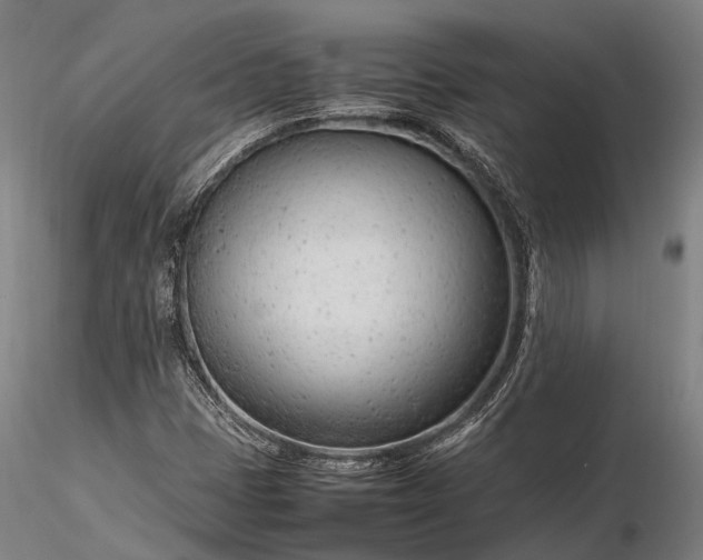 X0000116311401200912141348