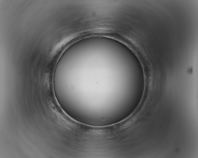 X0000116311402200912141348