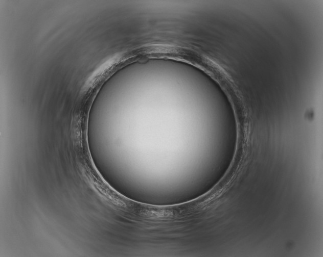 X0000116311403200912141348