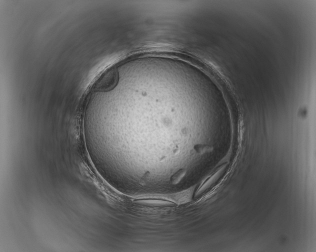 X0000116311405200912141348