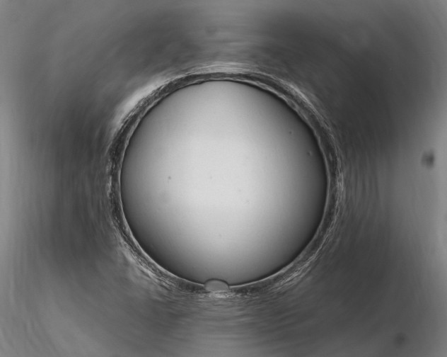 X0000116311406200912141348