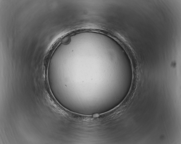 X0000116311408200912141348