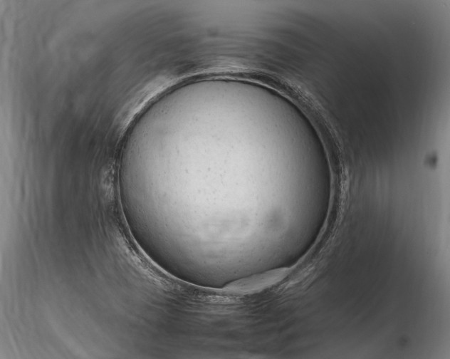 X0000116311409200912141348